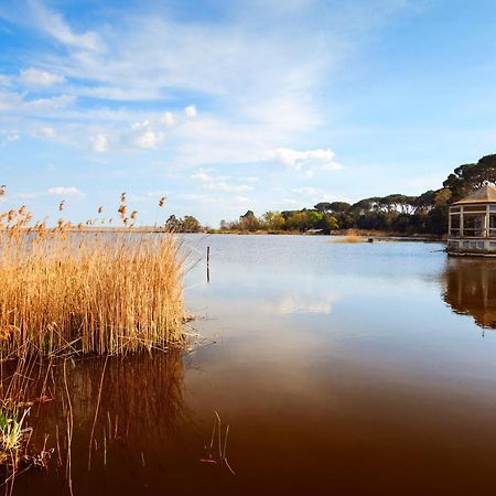 La Casa Nel Parco Leilighet Viareggio Eksteriør bilde